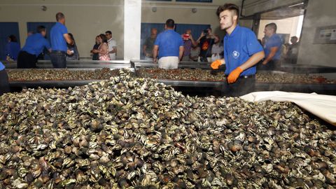 Fiesta del percebe en Agui�o 2017