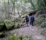 Toxa, Carboeiro y la senda que las une son los objetivos del proyecto