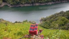 Vi�edos de Bodega R�goa en Amandi, donde se grabar� una parte del documental