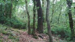 La sociedad forestal tiene m�s de un centenar de socios 