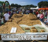 TURISMO. La Festa da Pataca es el gran escaparate del Concello coristanqu�s. 