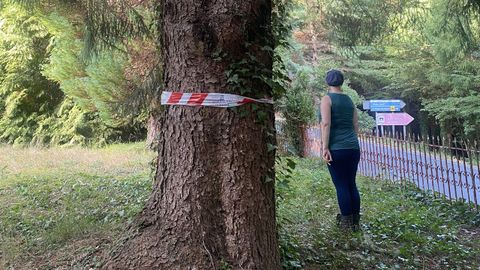 Denuncia que la Diputacin de Ourense invade su finca en Esgos para ampliar carretera a San Pedro de Rocas