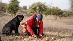 Quique Calv�n de Granja Ontalvilla cazando trufas con su perra Salsa.