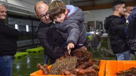 La centolla gallega vuelve al mercado