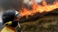 Asturias registra hoy hasta 32 incendios forestales que han obligado ya al desalojo de tres peque�as localidades de Cangas del Narcea