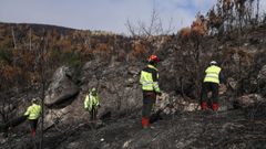 Trabajos en las zonas afectadas por los incendios forestales en Valdeorras, en septiembre