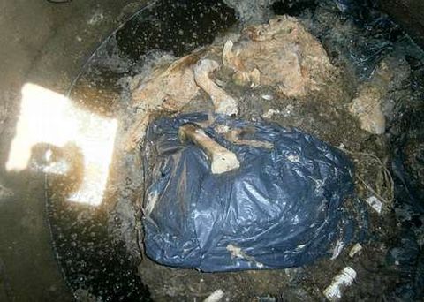 Uno de los fosos del recinto de Vincios, denunciado hace a�os por asociaciones animalistas