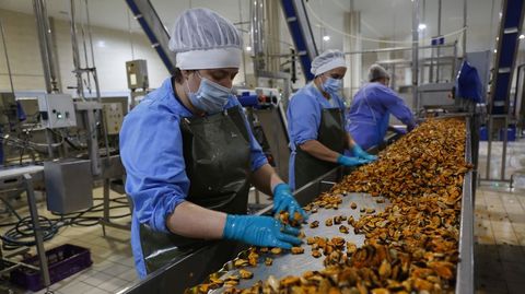 Trabajadoras de la conservera Orbe, en Ponte Caldelas.