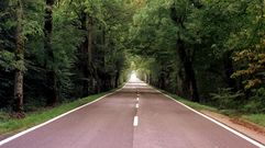 Tramo del Camino de Santiago en Roncesvalles
