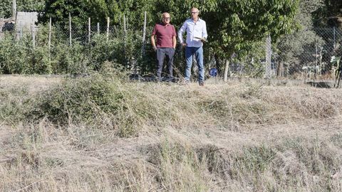 Jos� Manuel Baltar y Celso Delgado presentaron sus iniciativas parlamentarias en Vilanova de Canedo.