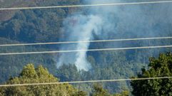 Humareda en un pinar situado entre Caneda y Sindr�n, en Monforte