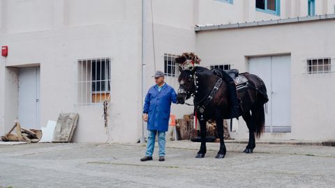 Vibomask reactivó el entroido.Cuarenta y siete grupos de España y Portugal participaron en el desfile de la mascarada ibérica en Viana do Bolo y Vilariño de Conso