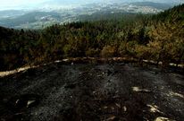 El informe alerta de la necesidad de recuperar las zonas afectadas por los incendios forestales. 