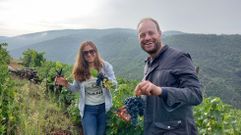 Las fotos de los visitantes que se lanzan a vendimiar en la Ribeira Sacra