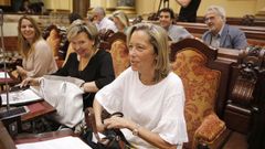 Rosa Gallego, en la bancada del grupo municipal del PP