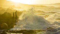 Una vida por un pu�ado de percebes