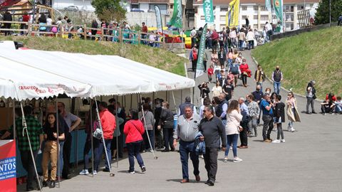 Feria de Muestras de Tineo