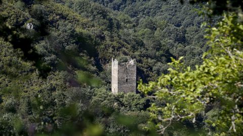 Torre de Doncos. Fue levantada en el siglo XV al lado del río Navia, en una cima en el fondo del valle, siendo el río un elemento defensivo propio. Se puede ver desde la N-VI, pero para llegar hasta sus pies hay que realizar una pequeña caminata por el valle. Coordenadas: 42º 46' 52.9 N - 7º 06' 32.0 W.