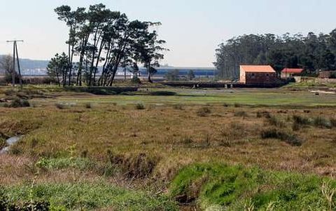 El estanque de A Seca (Cambados) lleva siglos sin tener ning�n aprovechamiento econ�mico.