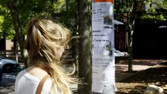 La zona del campus universitario es una de las m�s demandadas en Ourense