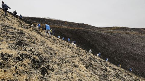 Voluntarios protegen los montes afectados por los incendios forestales en Vilamart�n de Valdeorras