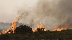 El incendio en la Sierra de La Cabrera sigue sin control