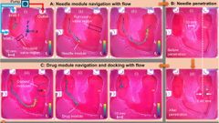 Control guiado por visi�n de microrrobots en un fantoma de coraz�n bajo flujo puls�til.