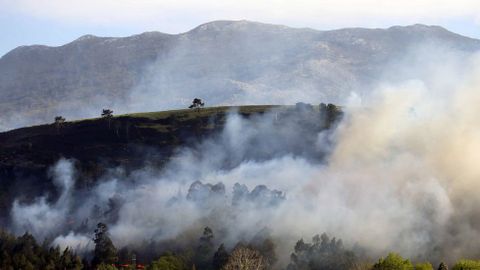 Uno de los incendios forestales registrado hoy en el concejo asturiano de Llanes y en cuya extinci�n est�n trabajando los Bomberos del Servicio de Emergencias del Principado (SEPA)