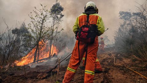 Trabajos de extinci�n en los incendios de Tineo y Vald�s