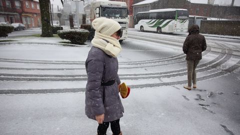 Nieve en Cerceda