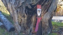 En Carballeda de Valdeorras convierten en obras de arte los �rboles quemados en el incendio de julio