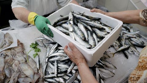 Sardinas recién capturadas como estas aún llegan hoy a los mercados