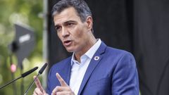 Pedro S�nchez, en una imagen de archivo
