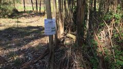 Cartel informativo sobre el incumplimiento de las franjas de protecci�n para prevenir incendios