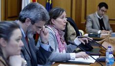 Mar�a Xos� Vega, al fondo, interviene durante uno de los �ltimos debates plenarios.