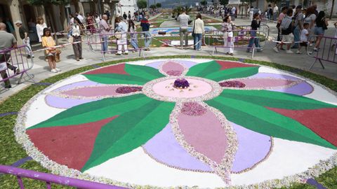 Alfombras flores de Ares