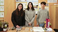El equipo de estudiantes que elabor� el proyecto de los repelentes naturales de insectos