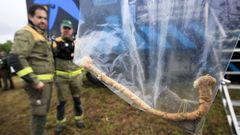 Agentes de la Guardia Civil, mostrando un artefacto incendiario que caus un fuego forestal