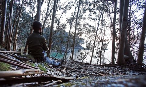 El sendero litoral de Beluso, que discurre entre árboles y pequeñas calas, es un regalo para los sentidos