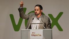 El l�der de Vox, Santiago Abascal, en un mitin en A Coru�a en abril del 2019
