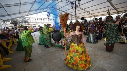 Desfile de carnaval en Lugo.