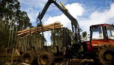 Trabajos forestales en As Barrosas, una de las zonas donde se crear�n puntos de carga.