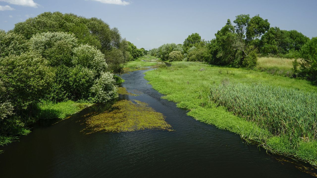 El río Limia: vida e historia en peligro
