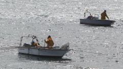 El banco marisquero de As P�as, en foto de archivo