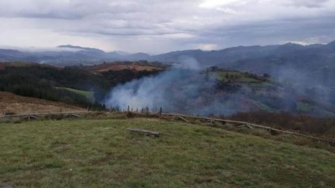 Incendio forestal