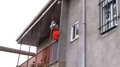 Protecci�n Civil elimin� el nido aparecido en una casa en Vilela