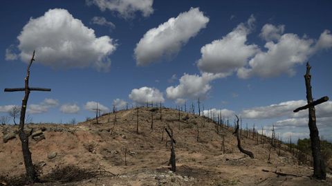 Un rea transformada por los servicios antiincendios en un cementerio con 200 cruces hechas de rboles  carbonizados, despus de un fuego declarado cerca de Igualada.