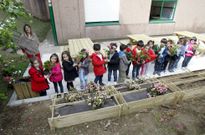 Los escolares plantaron lavanda, petunias, geranios y azaleas junto a un futuro merendero. 