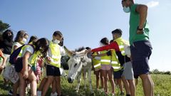 Imagen de archivo de un campamento infantil en Rianxo, en el 2021