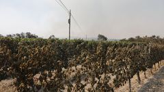 Las im�genes del incendio de Monterrei